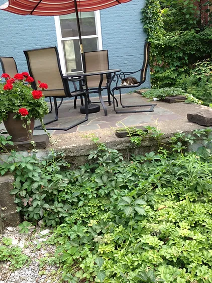 Back Patio